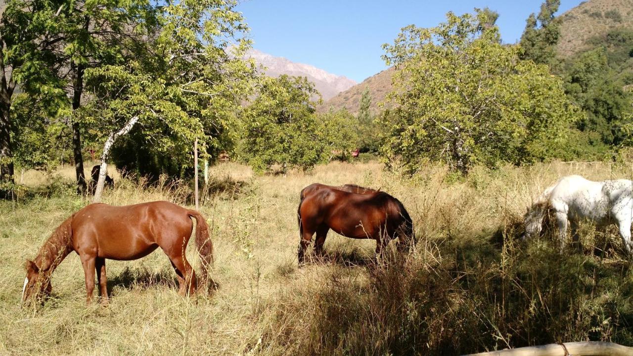 Cascada Lodge Cajon Del Maipo San José de Maipo Esterno foto